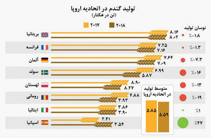 گرما جان گندمها را میگیرد