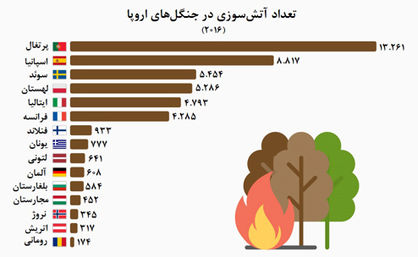 پرتغال، گورستان درختها
