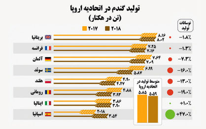 گرما جان گندمها را گرفت