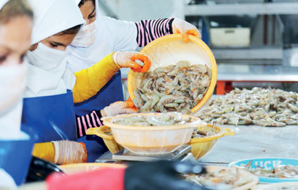 تلاش برای اشتغالزایی و محرومیتزدایی