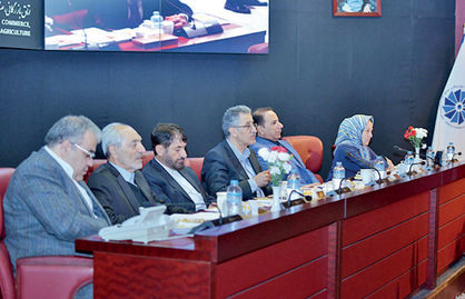 رایزنی اقتصادی اتاق تهران با سیاستگذار
