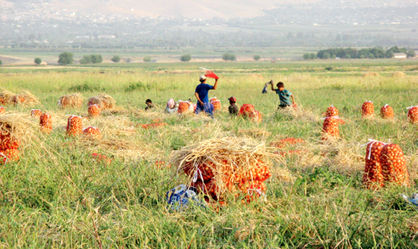 اقتصاد آسیای مرکزی در پیچ و خم مناقشات سیاسی