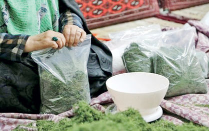 سهم مشاغل خانگی از طرح‌های اشتغال روستایی