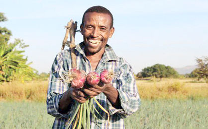 رضایت کشاورزان از معاملات قبض انبار در بورس کالای کشاورزی آفریقا