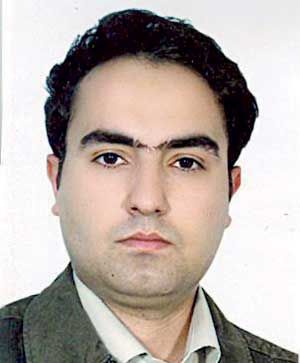 حمایت دیرهنگام