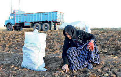 ایده روستاهای بدون بیکار