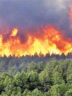 تهیه  نقشه‌های پیش‌بینی آتش‌‌سوزی  در  جنگل‌ها