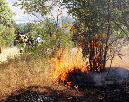 ۷۰۱۷ هکتار از مناطق حفاظت شده در آتش سوخت