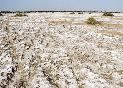 تالابهای خشک شده ۴۰ درصد کانونهای بحرانی گرد و غبار هستند
