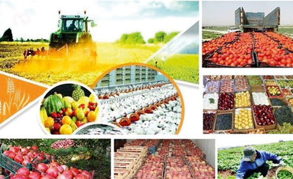 افت تولید و تجارت محصولات کشاورزی تا  ۲۰۳۰