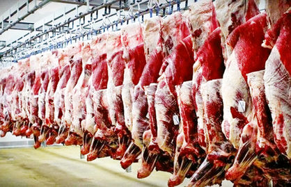 گوشت رکورددار افزایش قیمت شد+ نمودار