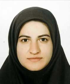 زمزمههایی از آغاز
صیانت از گوگل