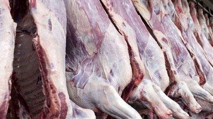 وزارت جهاد کشاورزی مدعی کاهش قیمت گوشت شد