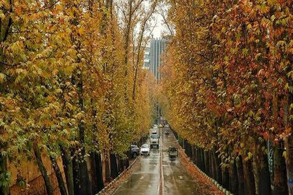 بارش باران در ۱۱ استان کشور تشدید می‌شود