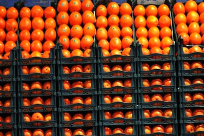 پرتقال‌های ایرانی به چین رسیدند