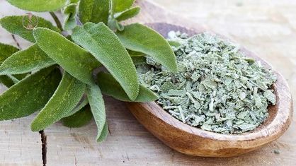 مریمگلی چه خاصیتی دارد؟