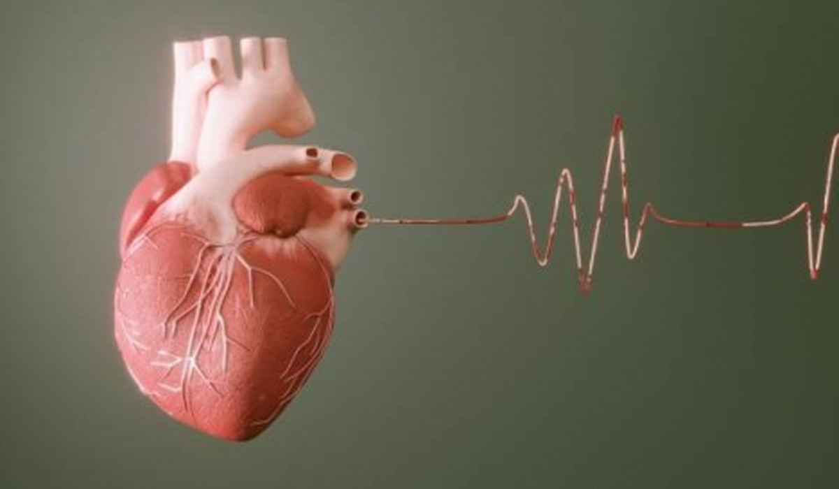 اگر میخواهید قلب سالمی داشته باشید بخوانید