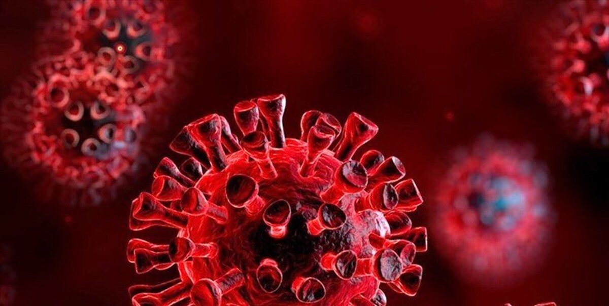 ویروس جی‌ان.۱ وارد کشور شده است؟