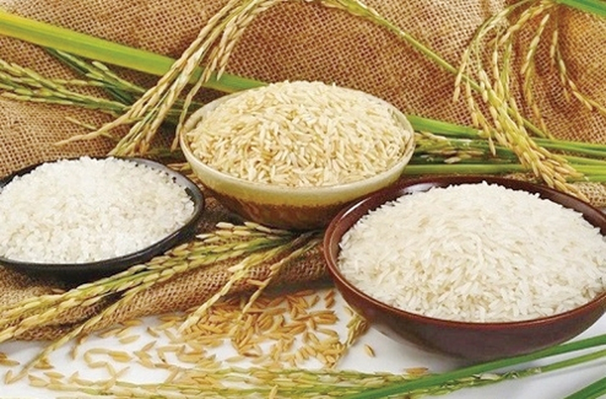 ترك فعل وزارت جهاد در بازار برنج