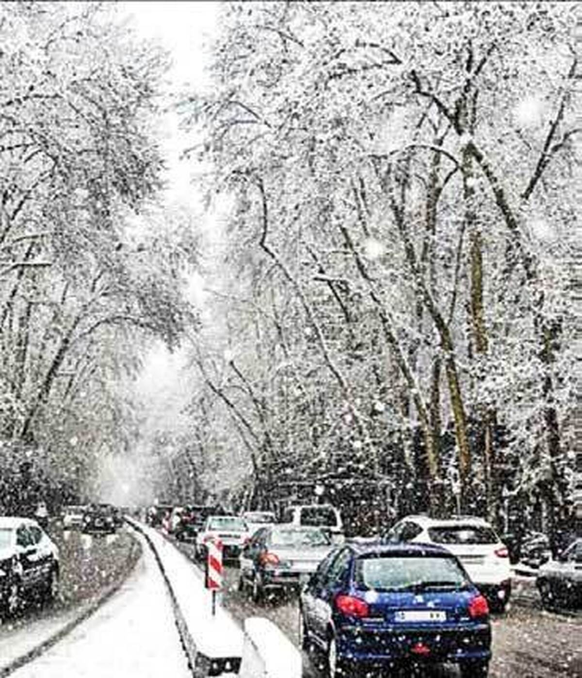 بارش برف و باران درنيمه شمالي استان تهران