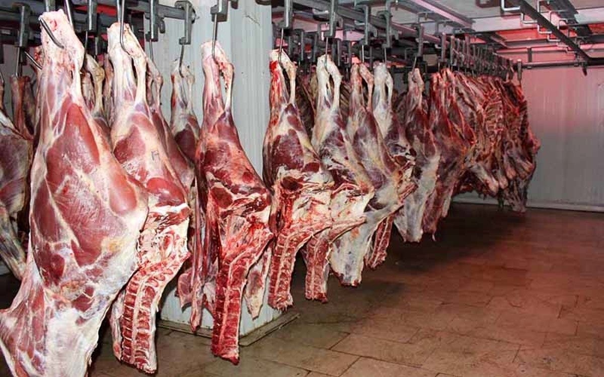 مردم گوشت گوساله ۳۱۵ هزار تومانی از کجاها تهیه کنند؟