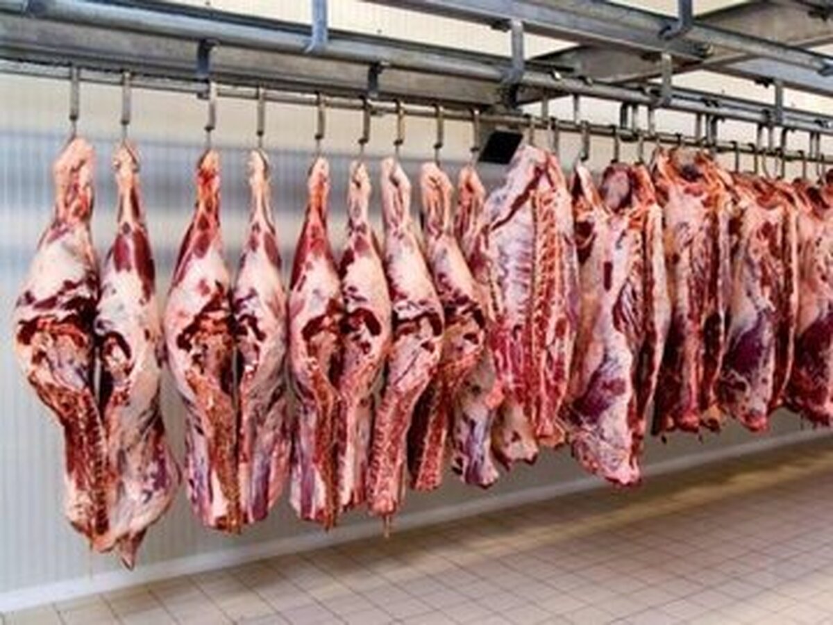 در سال جدید گوشت ارزان میشود؟