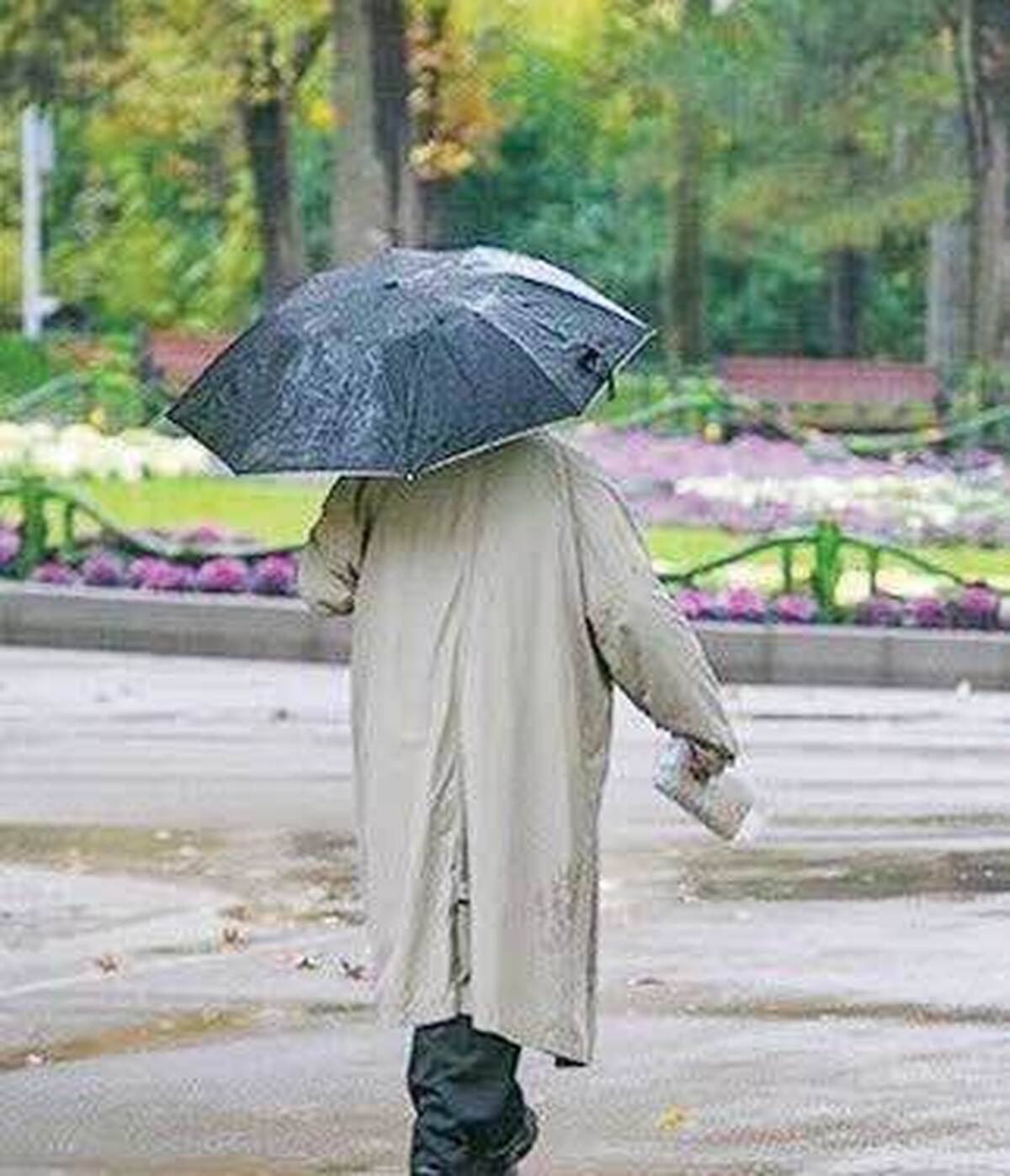 سال جديد تهران با باران بهاري آغاز مي‌شود