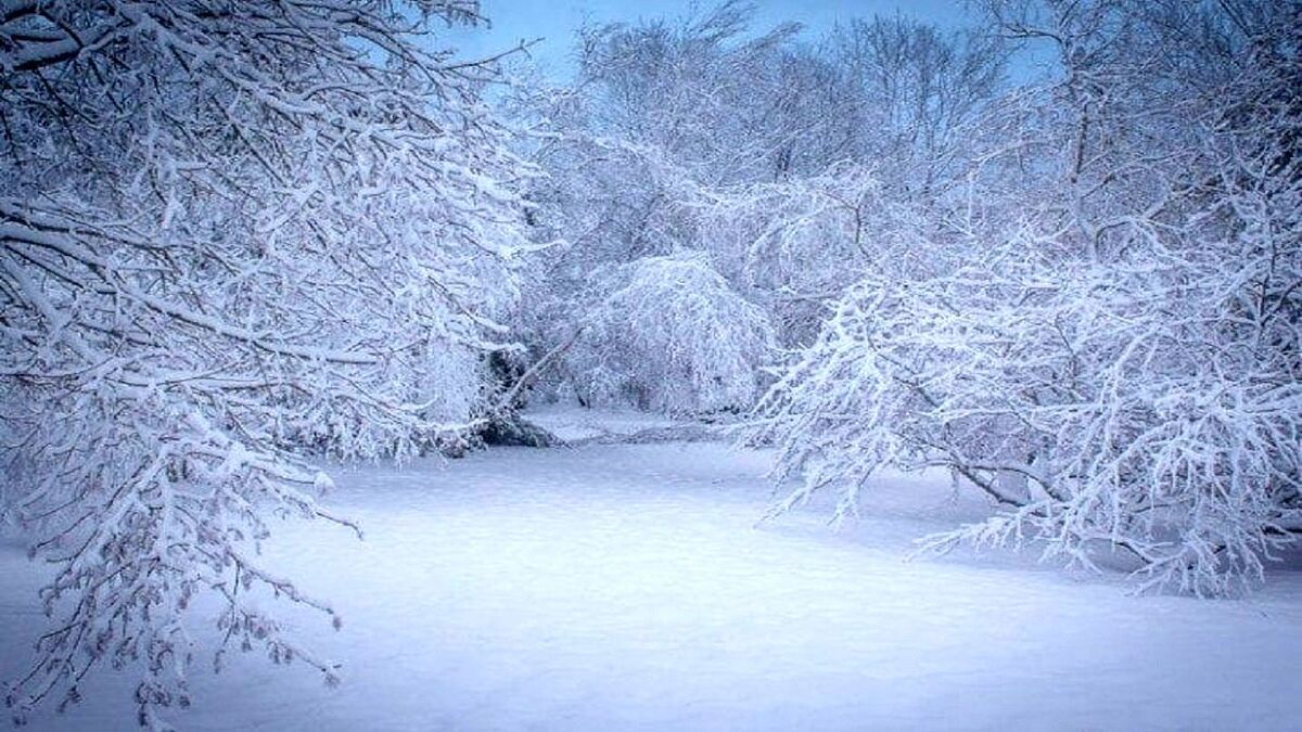 هشدار جدی هواشناسی برای کولاک برف در پایتختٰ؛ باران و برف کشور را فرا می‌گیرد + جزئیاتی از هواشناسی سایر استان‌ها