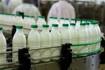 شیر خام چقدر گران شد؟