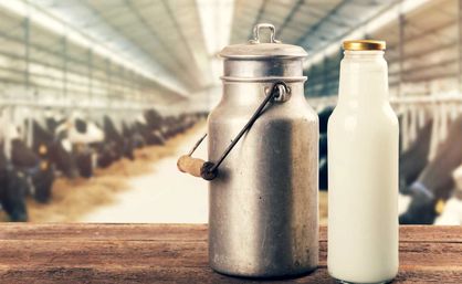 نرخ شیرخام ۲ هزار تومان افزایش پیدا کرد