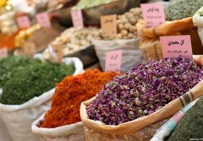 ۱۷ توصیه طب ایرانی برای بهار