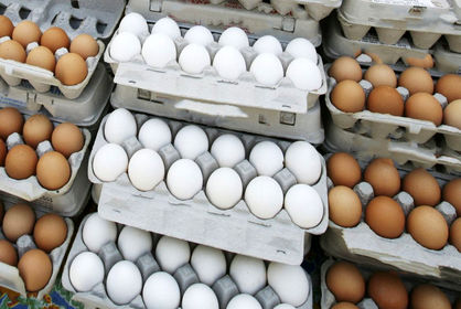 تخم مرغ در بازار میوه و تره‌بار چند؟