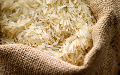 برنج خارجی دشمن برنج ایرانی