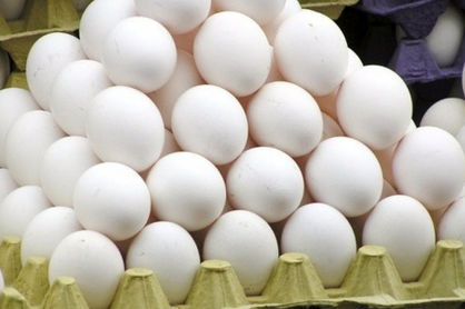 عرضه عمده تخممرغ زیر نرخ مصوب/ تخممرغ در میادین ترهبار و بازار کیلویی چند؟