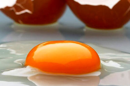 دلیل کمرنگی یا پررنگی زرده تخم‌مرغ چیست؟