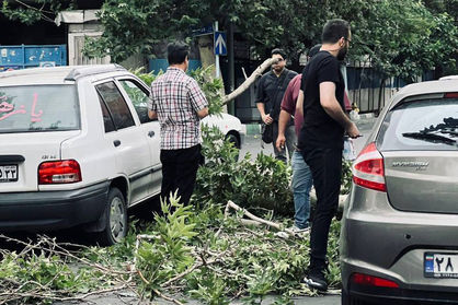 شکستن درختان در طوفان امروز تهران+ تصاویر