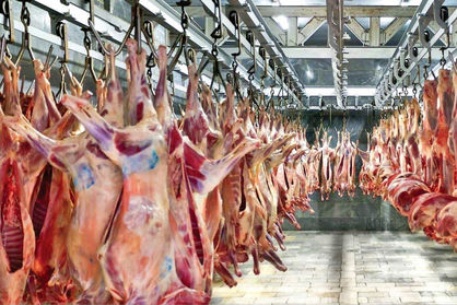 تازه‌ترین قیمت گوشت قرمز در بازار/ گوشت گوسفندی کیلویی چند؟