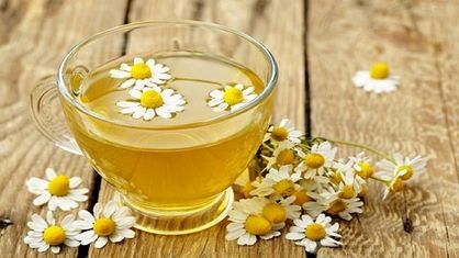 گیاه معطری که نفخ را برطرف میکند
