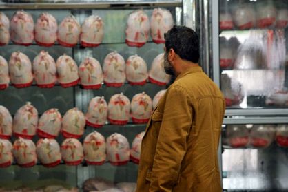 بازار به قیمت دستوری مرغ بیاعتنا است