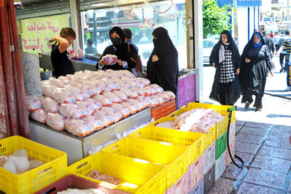 بازار میزبان مرغهای لاغر