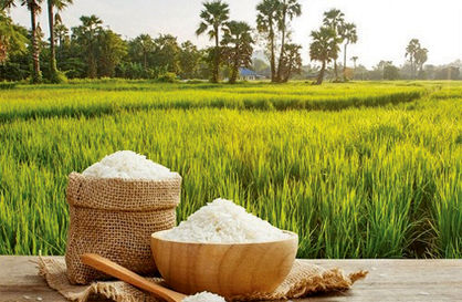 هشدار برای رسوب برنج در گمرک