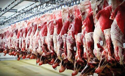 فاجعه محموله گوشت برزیلی!