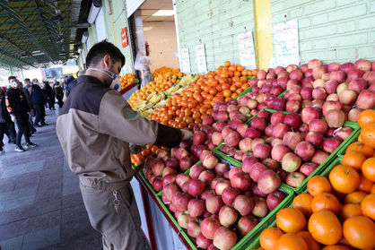 افزایش قابل توجه صادرات سیب به عربستان