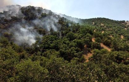 جنگل‌های مریوان در محاصره آتش