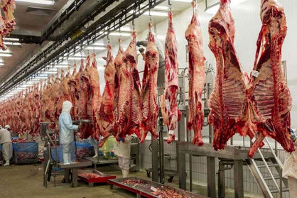 قیمت رسمی گوشت در میادین میوه و ترهبار اعلام شد