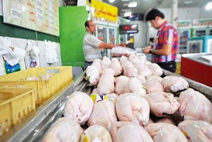 ریزش قیمت مرغ در بازار