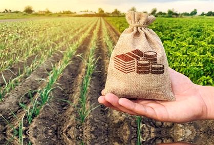 تازه‌ترین آمار ایجاد اشتغال در مناطق روستایی ایران