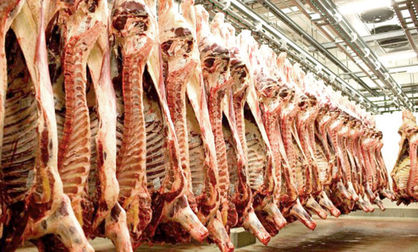 واردات گوشت قرمز چرا متوقف شد؟