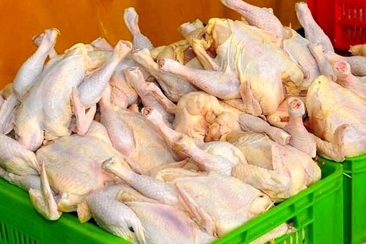 اعلام دلیل گرانی گوشت مرغ/ مرغداران نرخ مصوب را قبول ندارند