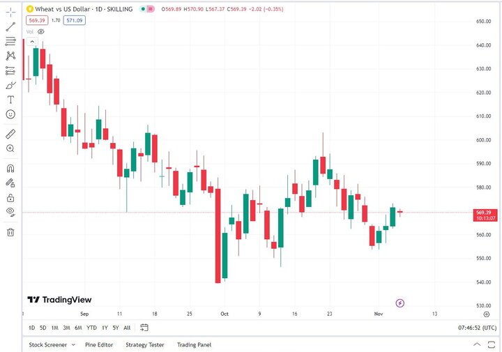 قیمت گندم در بازار جهانی کاهش یافت